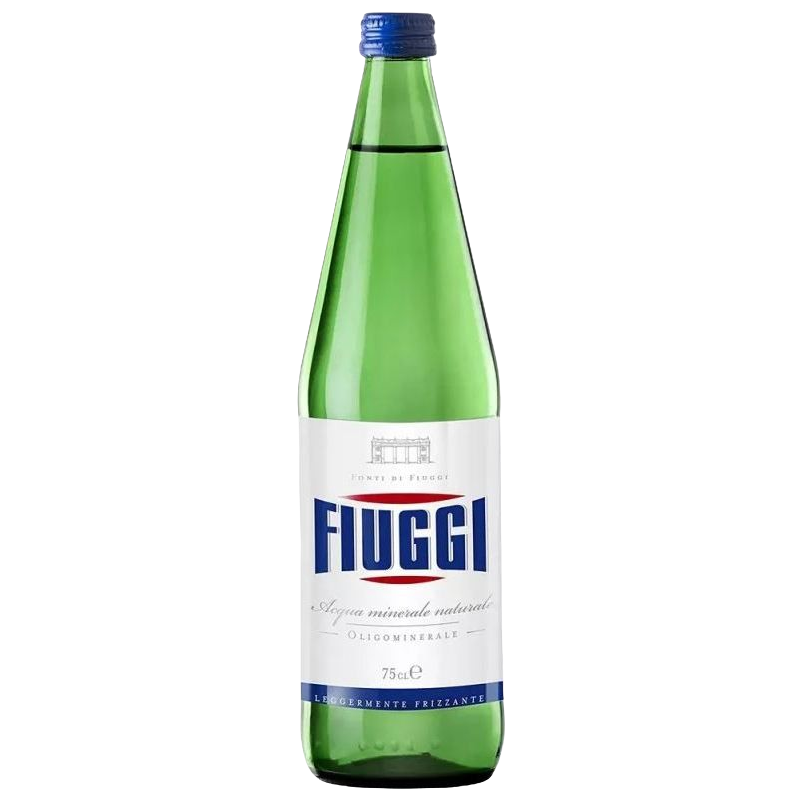 Купить Минеральная вода газ Fiuggi Naturale 0,75л стекло