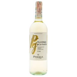 Купить Вино Pinot Grigio Venezie DOC Pasqua белое сухое Pasqua