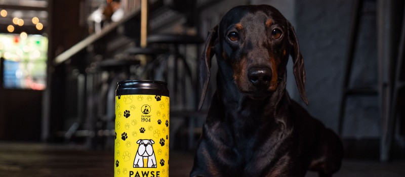 В Италии создали пиво для собак